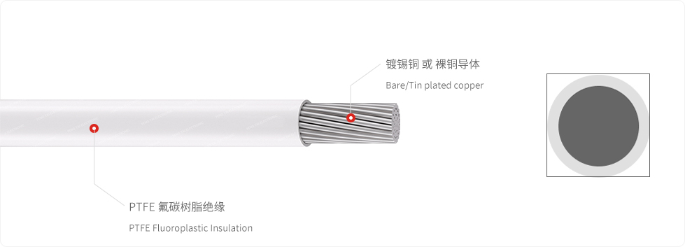 PTFE-白.jpg