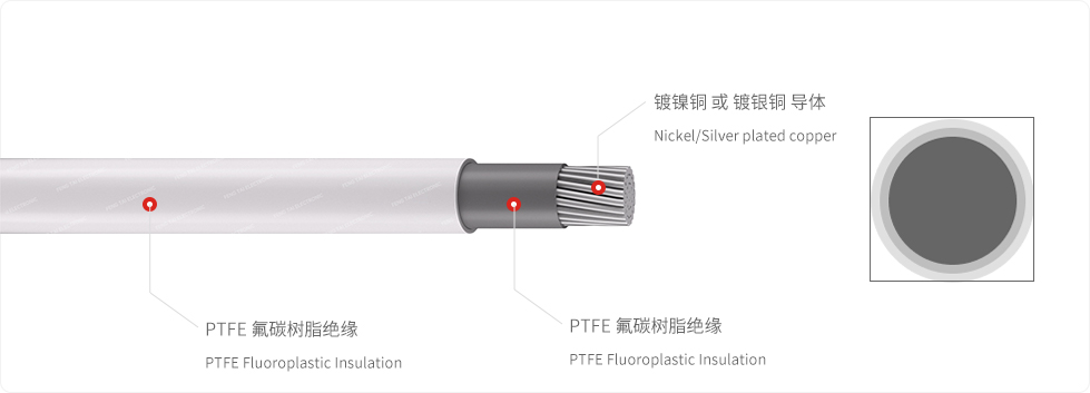 PTFE-双-白.jpg